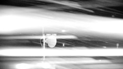 Horská služba - Ovčárna - Praděd