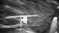 Horská služba - Ovčárna - Praděd