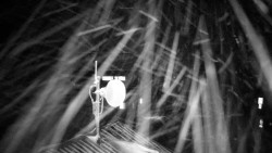 Horská služba - Ovčárna - Praděd