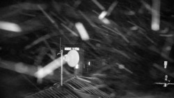 Horská služba - Ovčárna - Praděd