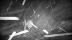 Horská služba - Ovčárna - Praděd