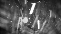 Horská služba - Ovčárna - Praděd