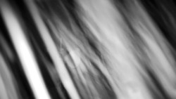 Horská služba - Ovčárna - Praděd