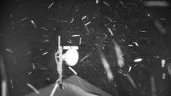 Horská služba - Ovčárna - Praděd