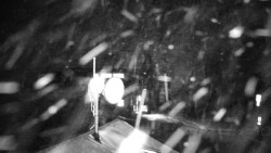 Horská služba - Ovčárna - Praděd