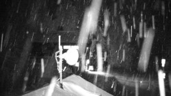 Horská služba - Ovčárna - Praděd