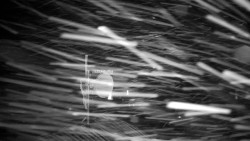 Horská služba - Ovčárna - Praděd