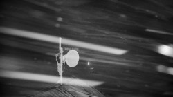 Horská služba - Ovčárna - Praděd