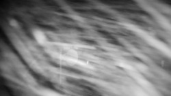 Horská služba - Ovčárna - Praděd