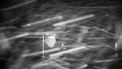 Horská služba - Ovčárna - Praděd