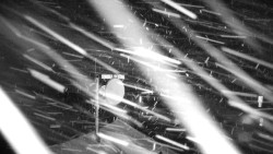 Horská služba - Ovčárna - Praděd