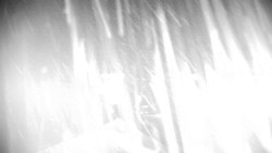 Horská služba - Ovčárna - Praděd