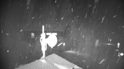 Horská služba - Ovčárna - Praděd