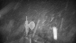 Horská služba - Ovčárna - Praděd