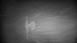 Horská služba - Ovčárna - Praděd