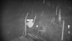 Horská služba - Ovčárna - Praděd