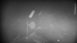 Horská služba - Ovčárna - Praděd