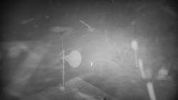 Horská služba - Ovčárna - Praděd