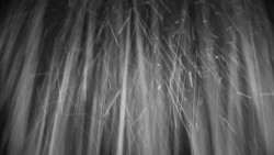 Horská služba - Ovčárna - Praděd