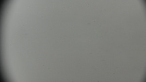 Horský hotel Volareza - Praděd - Horská služba - Ovčárna - Praděd - 14.2.2026 v 15:00 Horský hotel Volareza - Praděd - Horská služba - Ovčárna - Praděd - 14.2.2026 v 15:00