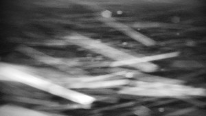 Horský hotel Volareza - Praděd - Horská služba - Ovčárna - Praděd - 14.2.2026 v 18:00 Horský hotel Volareza - Praděd - Horská služba - Ovčárna - Praděd - 14.2.2026 v 18:00