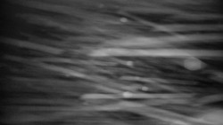 Horská služba - Ovčárna - Praděd