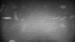 Horská služba - Ovčárna - Praděd