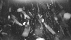 Horská služba - Ovčárna - Praděd