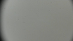 Horská služba - Ovčárna - Praděd