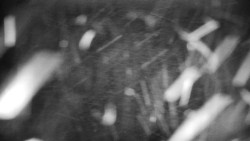 Horská služba - Ovčárna - Praděd