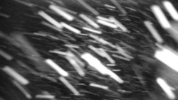 Horská služba - Ovčárna - Praděd