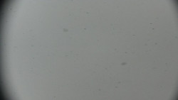 Horská služba - Ovčárna - Praděd