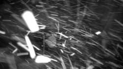 Horská služba - Ovčárna - Praděd