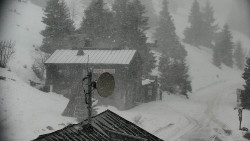 Horská služba - Ovčárna - Praděd