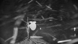 Horská služba - Ovčárna - Praděd