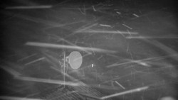 Horská služba - Ovčárna - Praděd