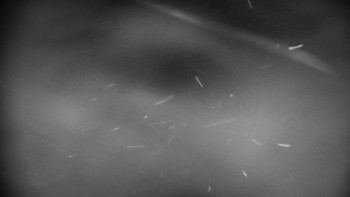Snímek    25.10.2025 v 21:01