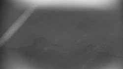 Praděd - Petrovy kameny