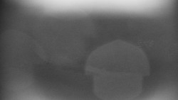 Praděd - Petrovy kameny