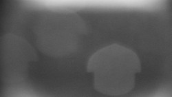 Praděd - Petrovy kameny