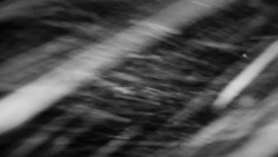 Praděd - Petrovy kameny