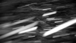 Praděd - Petrovy kameny