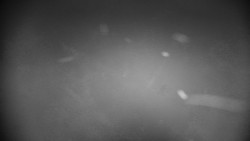 Praděd - Petrovy kameny