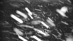 Praděd - Petrovy kameny