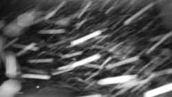 Praděd - Petrovy kameny