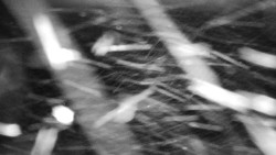 Praděd - Petrovy kameny