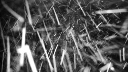 Praděd - Petrovy kameny