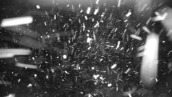 Praděd - Petrovy kameny