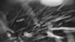 Praděd - Petrovy kameny