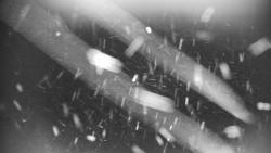 Praděd - Petrovy kameny